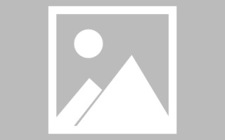 沙河武清网站建设方案（天津武清政府招标网）